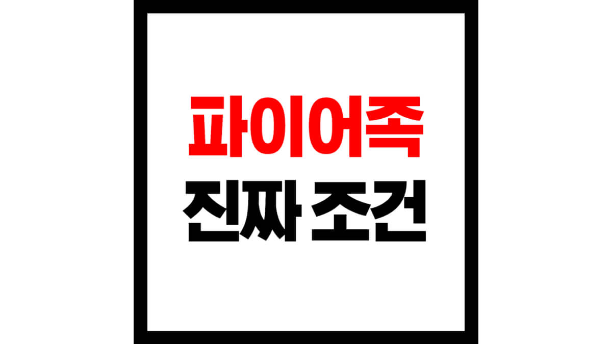 파이어족 진짜조건