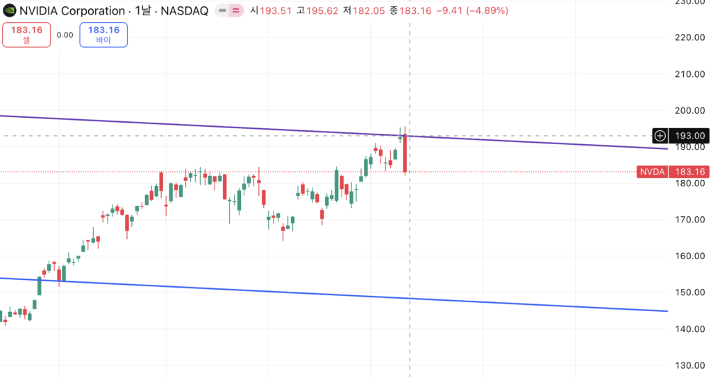1012엔비디아장기 1