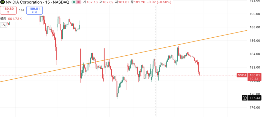 엔비디아15분봉1021