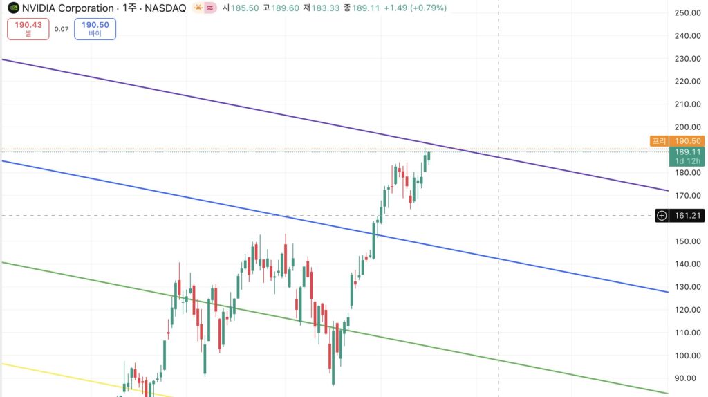 엔비디아주봉 1